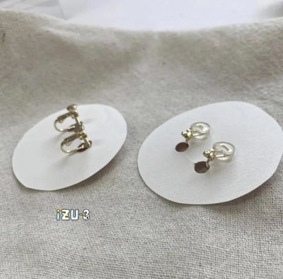 画像2: 【期間限定販売】秋田県横手市産りんごをつめこんだピアス/イヤリング