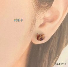 画像3: 【期間限定販売】秋田県横手市産りんごをつめこんだピアス/イヤリング (3)