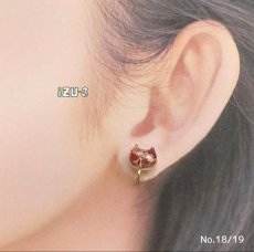 画像5: 【期間限定販売】秋田県横手市産りんごをつめこんだピアス/イヤリング (5)