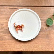 画像1: 【期間限定販売】秋田県横手市産りんごをつめこんだブローチ (1)