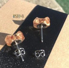 画像4: 【期間限定販売】秋田県横手市産りんごをつめこんだピアス/イヤリング (4)
