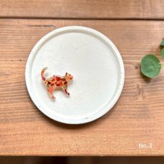 画像2: 【期間限定販売】秋田県横手市産りんごをつめこんだブローチ (2)
